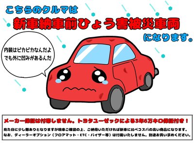2026 Toyota VELLFIRE photo 9
