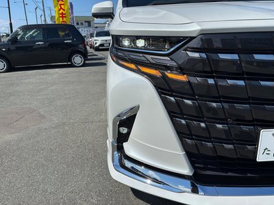 2025 TOYOTA ALPHARD — фото 10