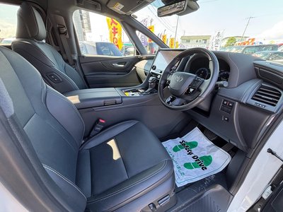 2025 TOYOTA ALPHARD 缩略图 37