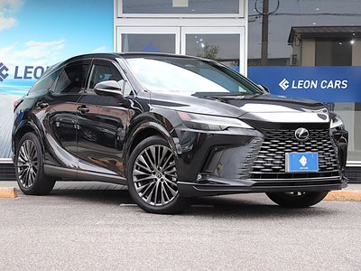 LEXUS RX - 8
