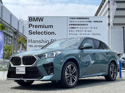 BMW X2 - 1