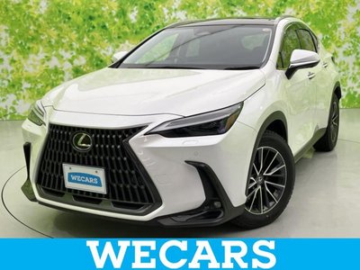 LEXUS NX - 1
