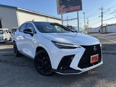 2024 Lexus NX 照片 1