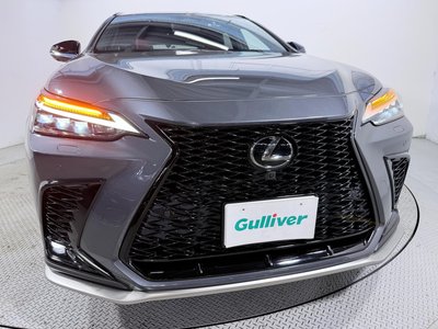2022 Lexus NX 缩略图 17