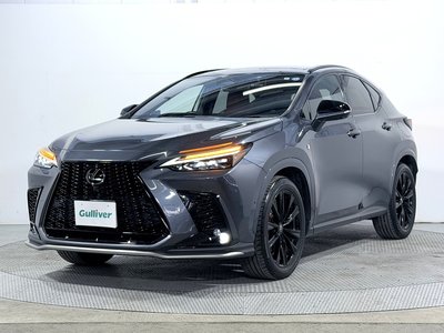 2022 Lexus NX 缩略图 19