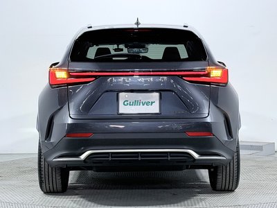 2022 Lexus NX 缩略图 67