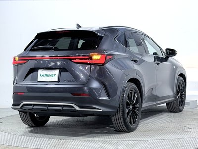 2022 Lexus NX 缩略图 20