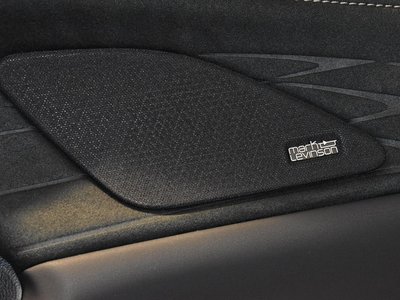 2025 Lexus RX thumbnail 22