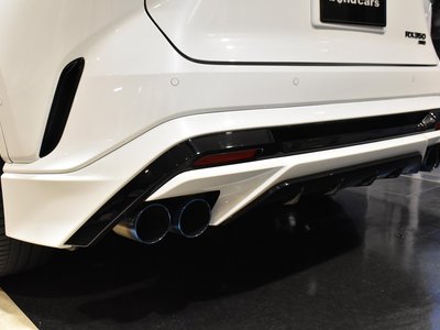 2025 Lexus RX thumbnail 17