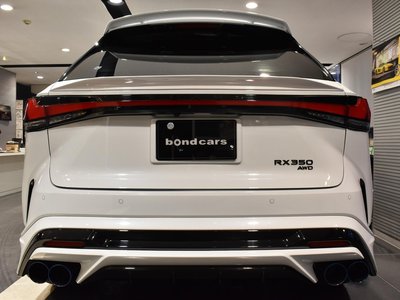 2025 Lexus RX thumbnail 11