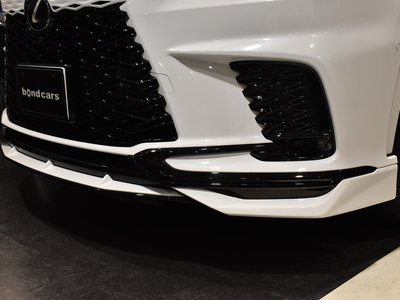 2025 Lexus RX thumbnail 12