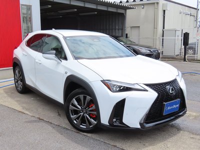 2024 Lexus UX 缩略图 30