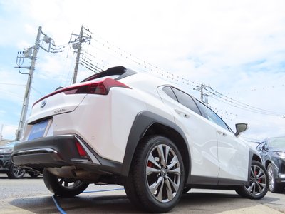 2024 Lexus UX 缩略图 36