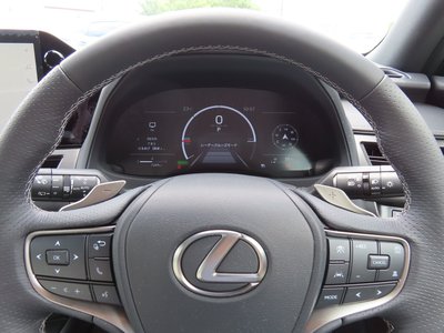 2024 Lexus UX 缩略图 88