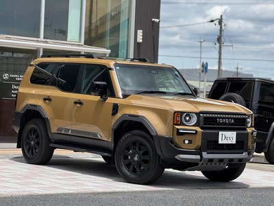 2024 Toyota LAND CRUISER 250 缩略图 16