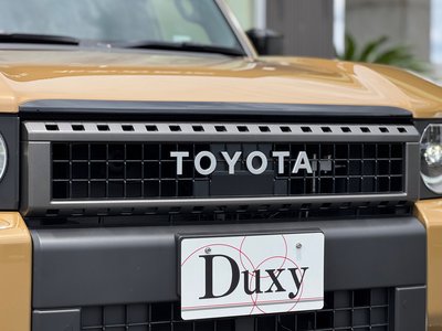 2024 Toyota LAND CRUISER 250 缩略图 19