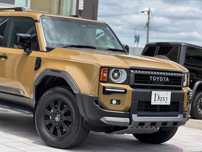 2024 Toyota LAND CRUISER 250 缩略图 17