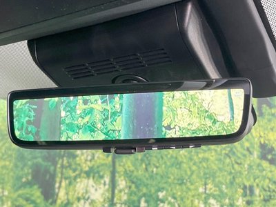 2025 TOYOTA ALPHARD 照片 6