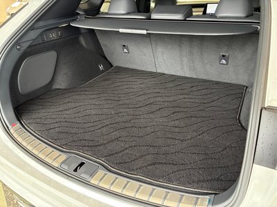 2023 Lexus RX — миниатюра 21