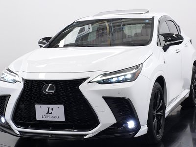 2023 Lexus NX 照片 10