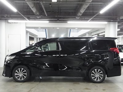 2017 Toyota ALPHARD thumbnail 13