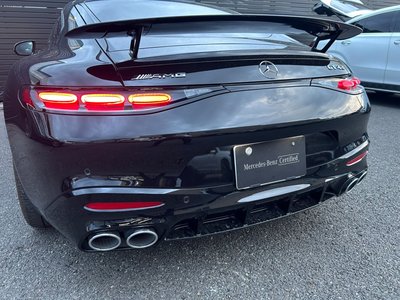 2025 Mercedes-BENZ GT AMG 缩略图 17