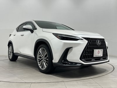 LEXUS NX - 1