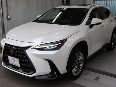 LEXUS NX - 10