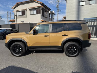 TOYOTA LAND CRUISER 250 - 7