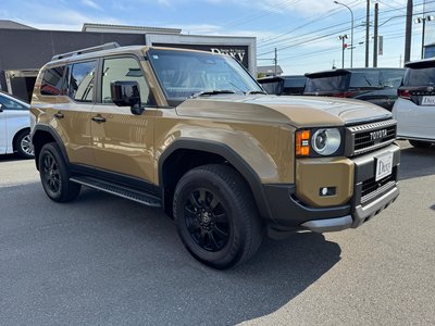 TOYOTA LAND CRUISER 250 - 10