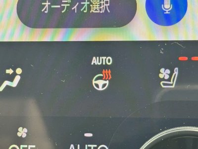 صورة 8 لـ 2025 TOYOTA ALPHARD