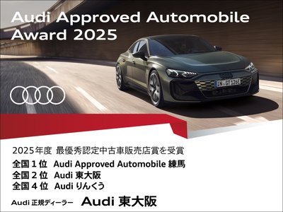 2025 AUDI Q6 E-TRON — миниатюра 58