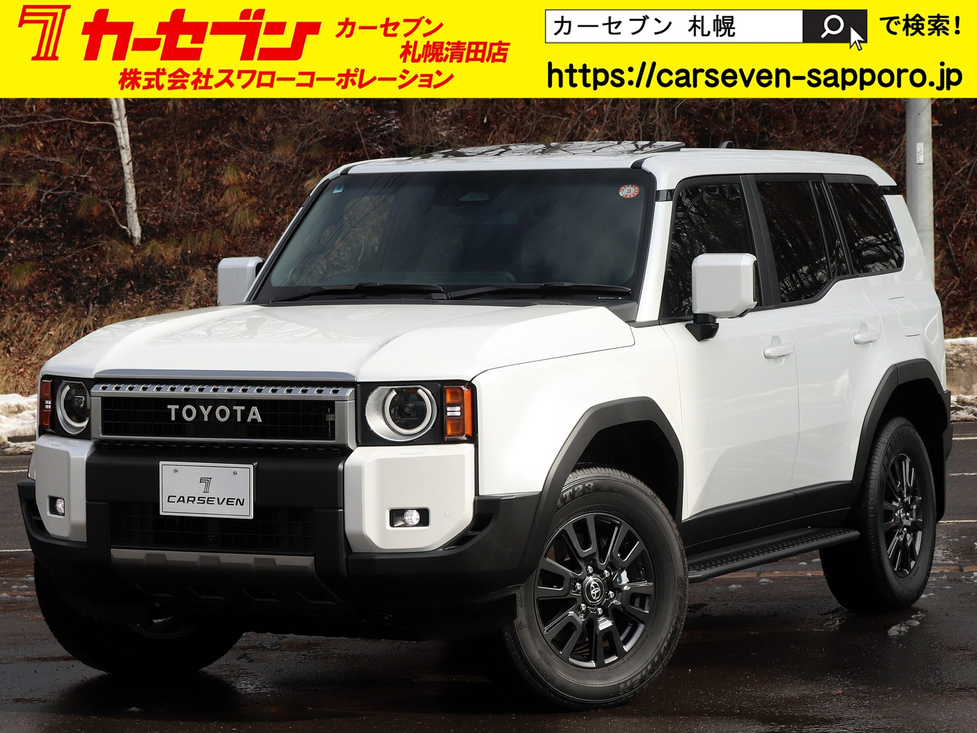 TOYOTA LAND CRUISER 250 - View 1