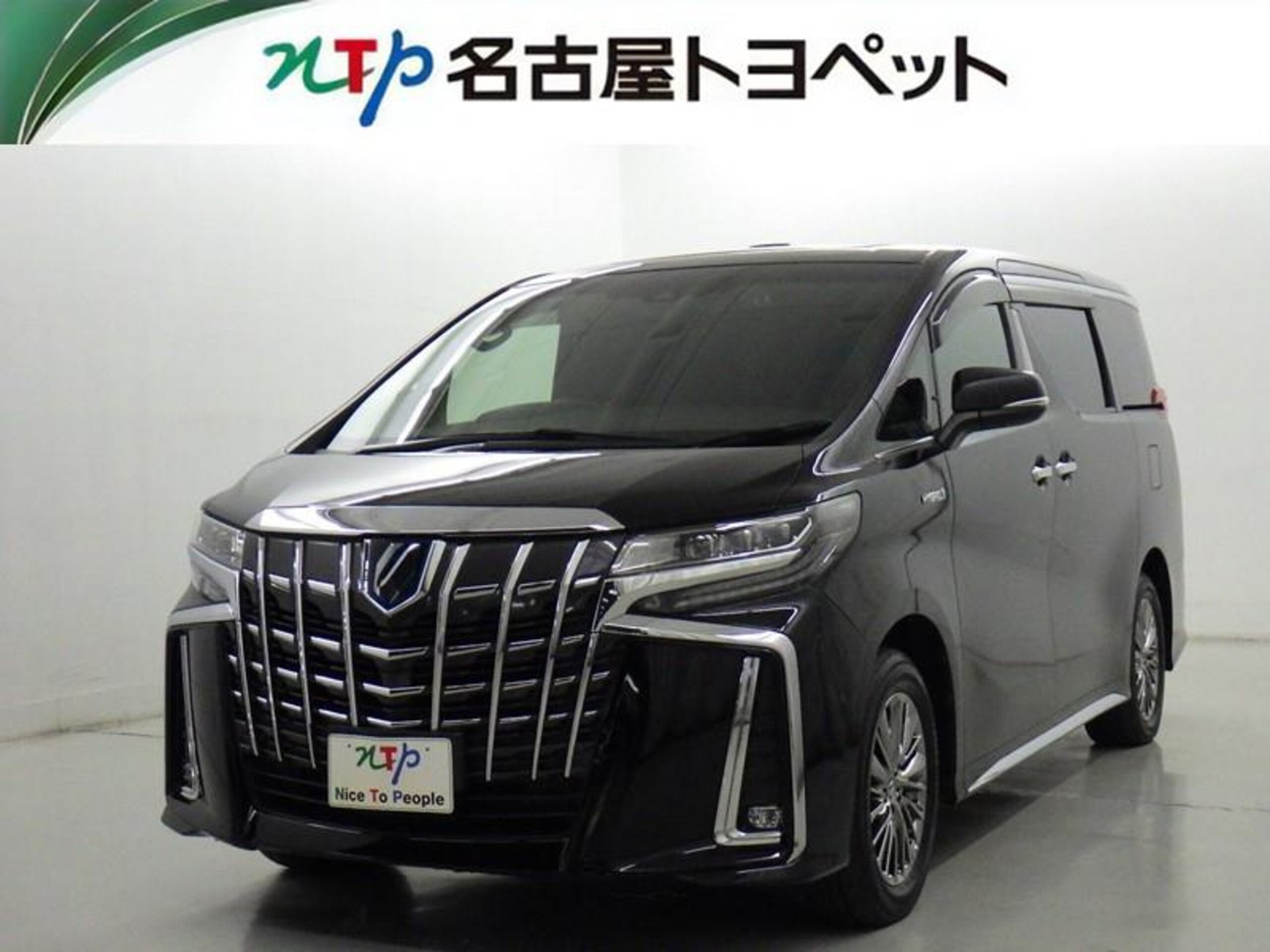 TOYOTA ALPHARD - View 1