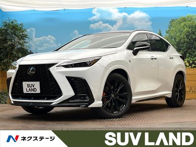 LEXUS NX - 1
