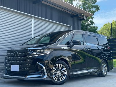 2023 Toyota ALPHARD 缩略图 20