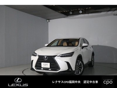 LEXUS NX - 1