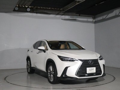 LEXUS NX - 10