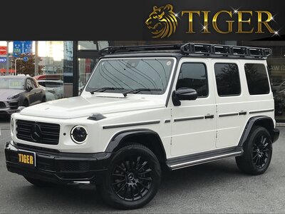 MERCEDES-BENZ G-CLASS