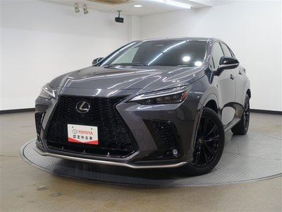 LEXUS NX - 6