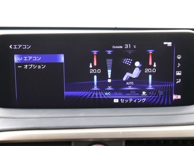 صورة مصغرة 35 لـ 2022 Lexus RX