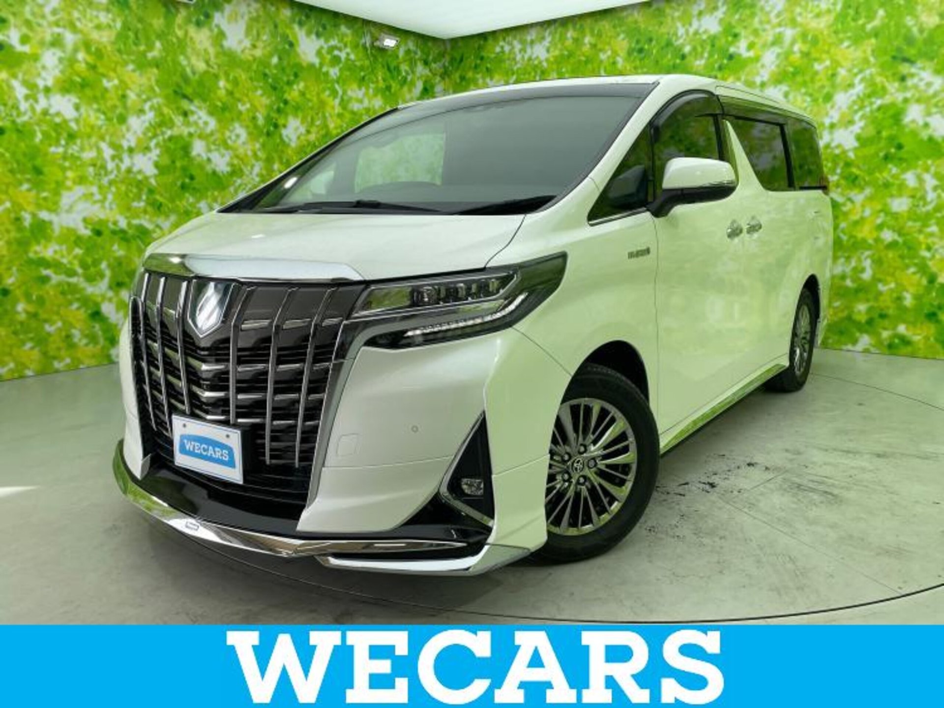 TOYOTA ALPHARD - View 1