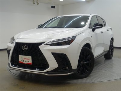 LEXUS NX - 6