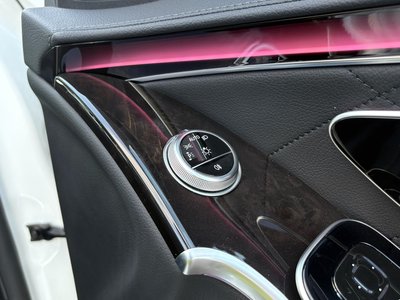 2021 Mercedes-BENZ S-CLASS 缩略图 38