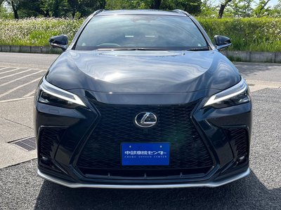 LEXUS NX - 6