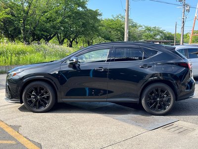 LEXUS NX - 10