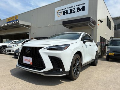 LEXUS NX - 1