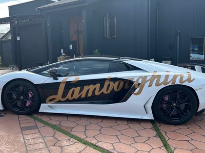 LAMBORGHINI AVENTADOR ROADSTER - 8