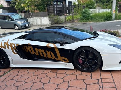 LAMBORGHINI AVENTADOR ROADSTER - 4