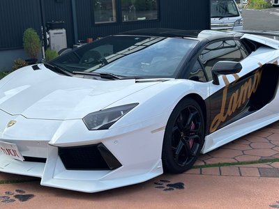 LAMBORGHINI AVENTADOR ROADSTER - 1